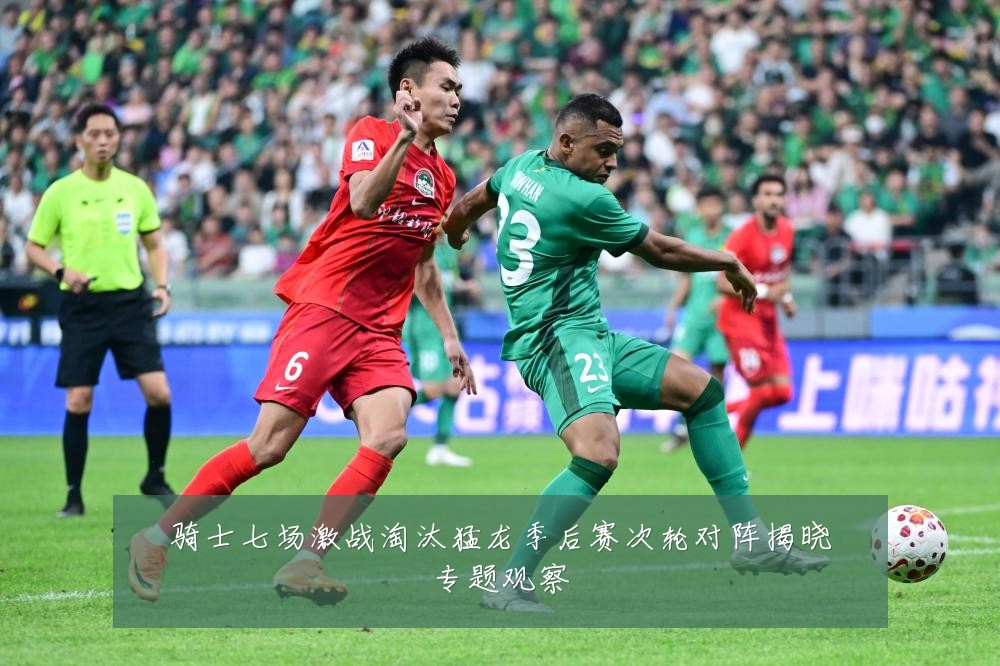 骑士七场激战淘汰猛龙季后赛次轮对阵揭晓专题观察