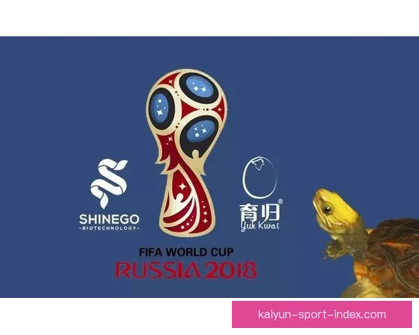 世界杯竞猜胜负核心技巧与数据分析提升命中率实战指南分享三大思路